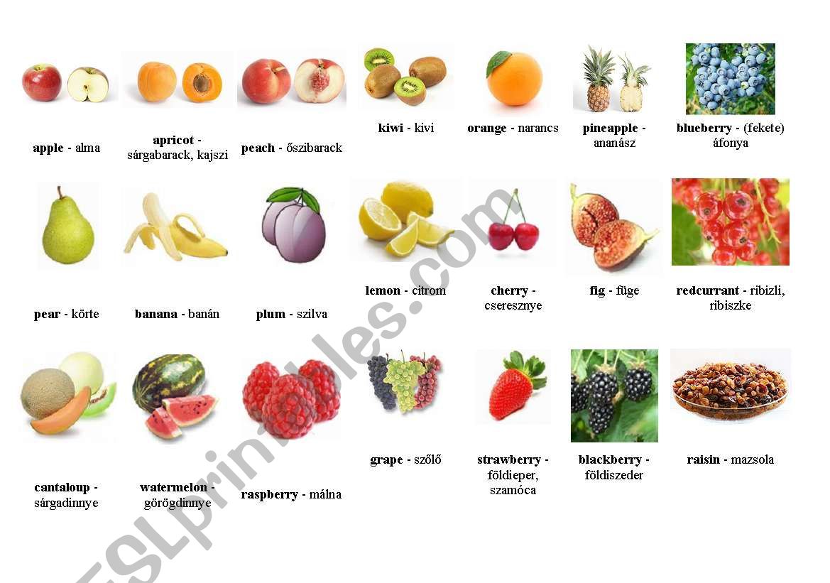 fruit worksheet