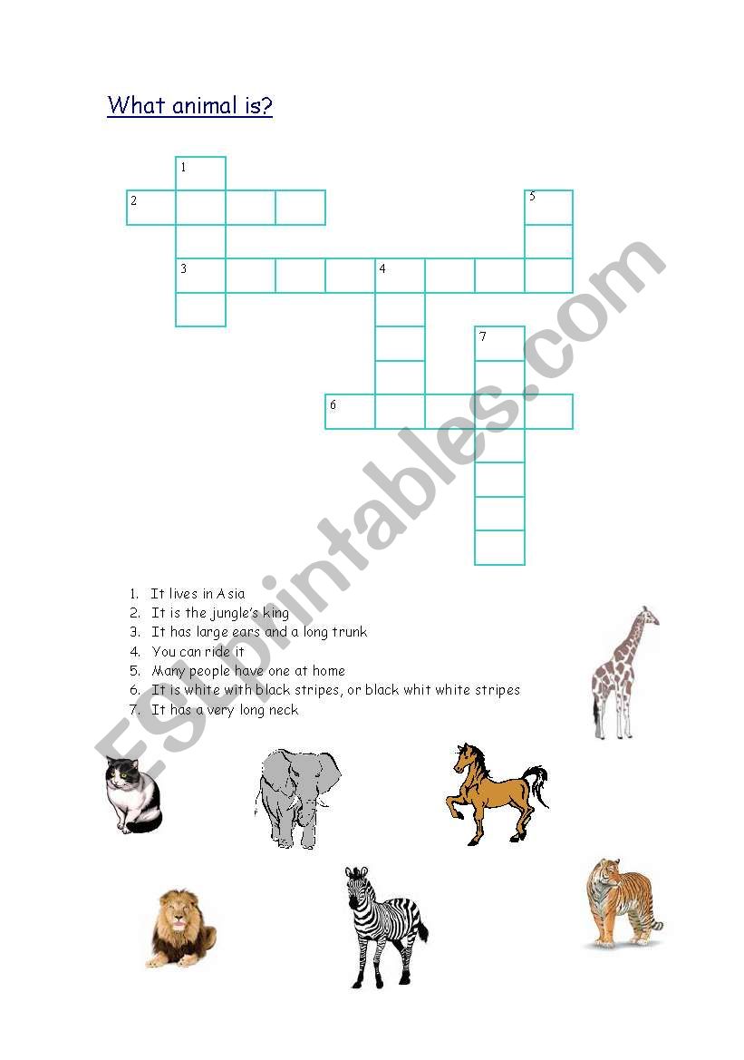 What animal is? worksheet
