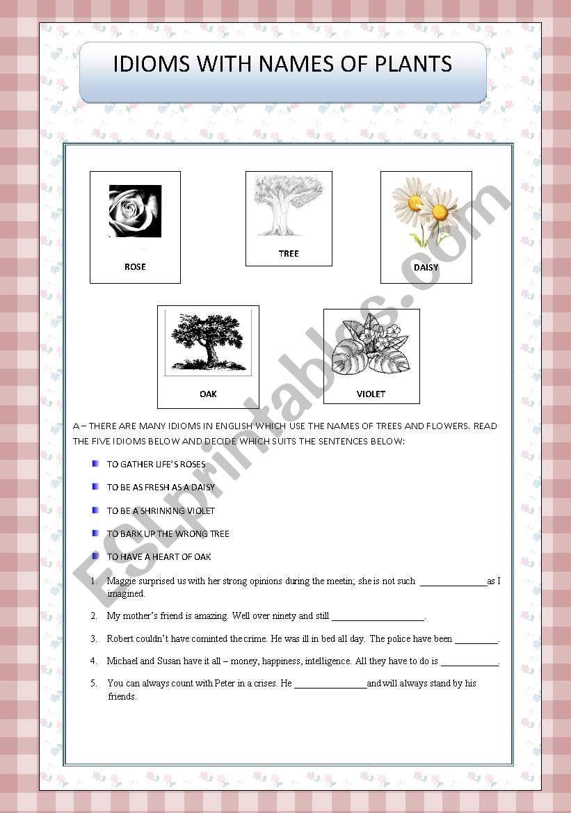 English worksheets: idioms with the names of plants