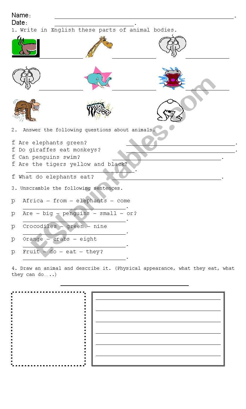 Animals worksheet