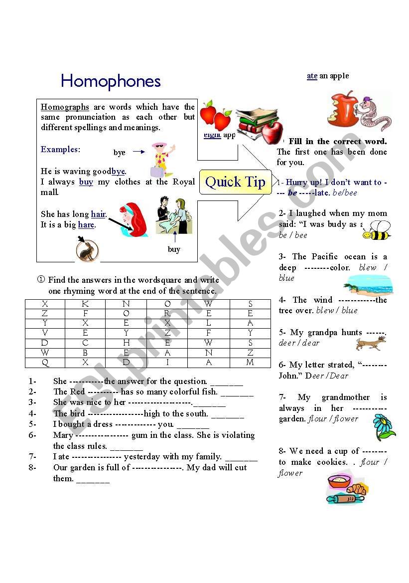 homophones worksheet