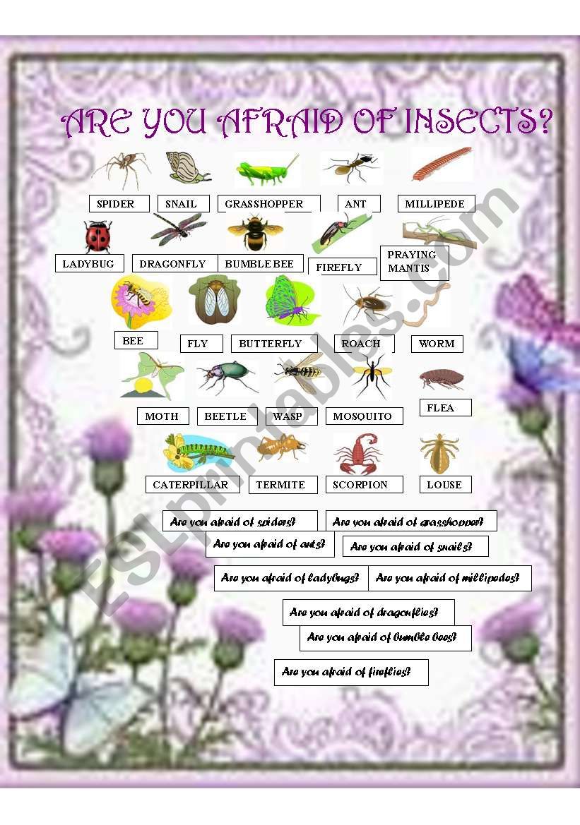 Are you afraid of insects? worksheet