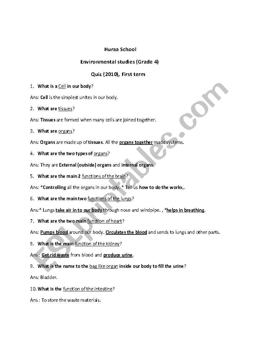 Environment Studies worksheet