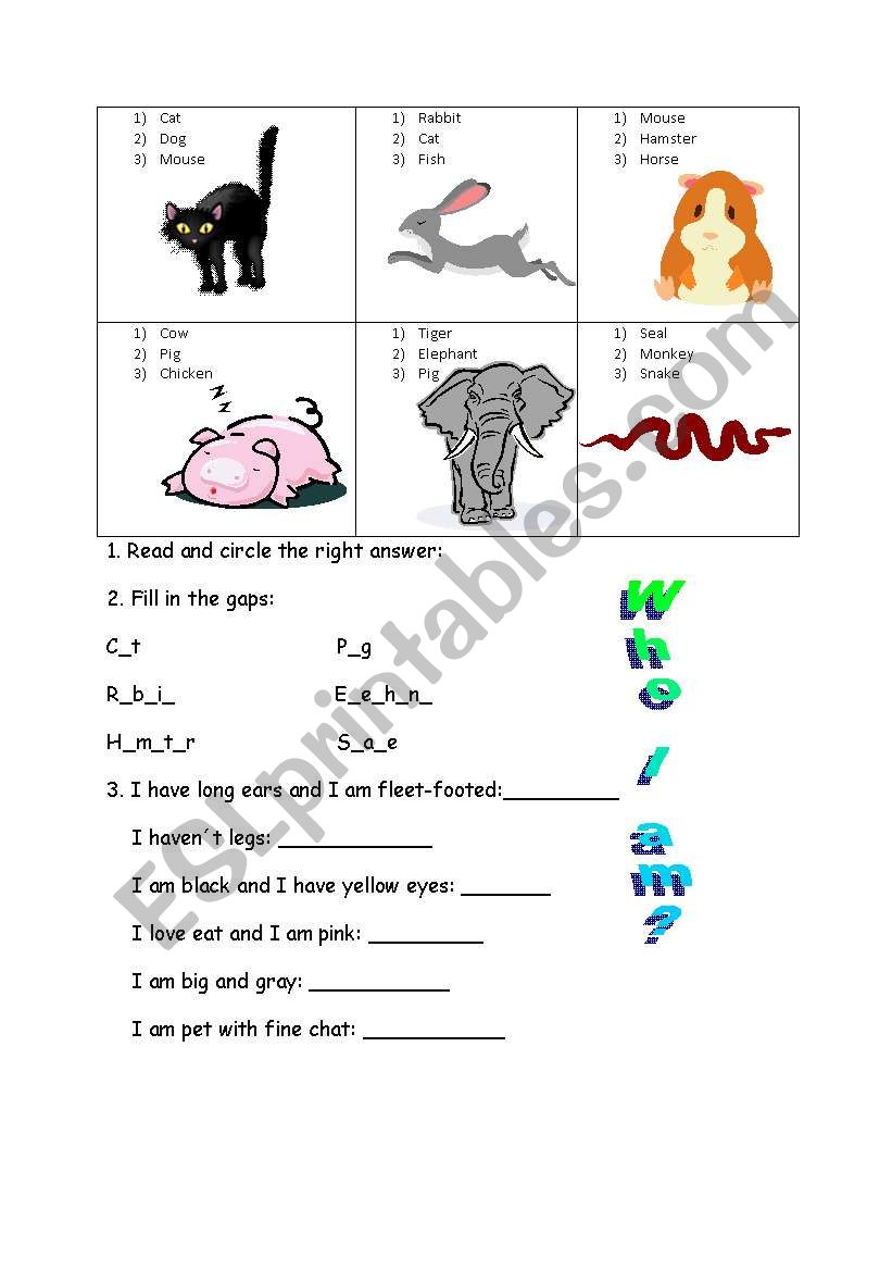 Who I am? worksheet