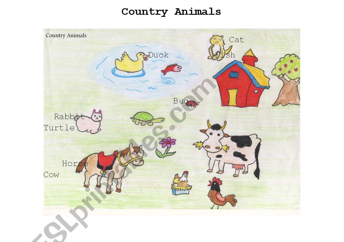 country animals worksheet