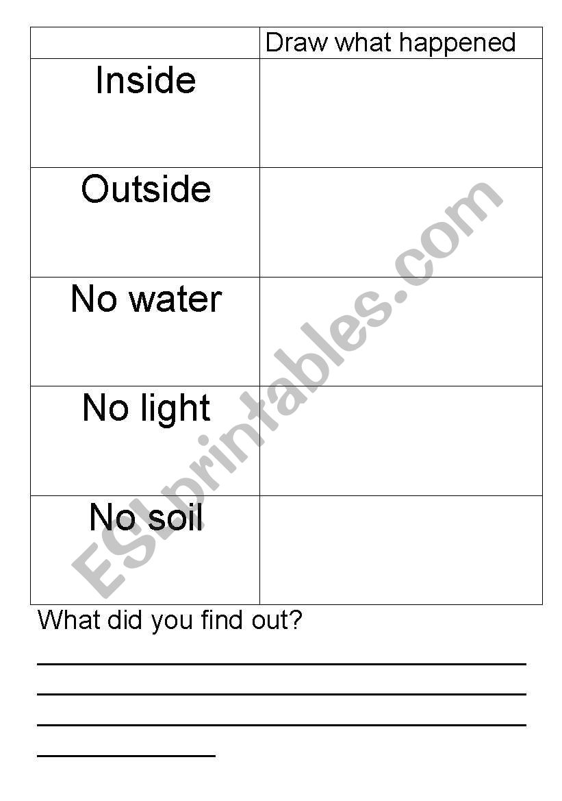 Plant experiment worksheet