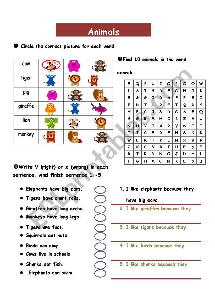 animals_word search_likes and dislikes