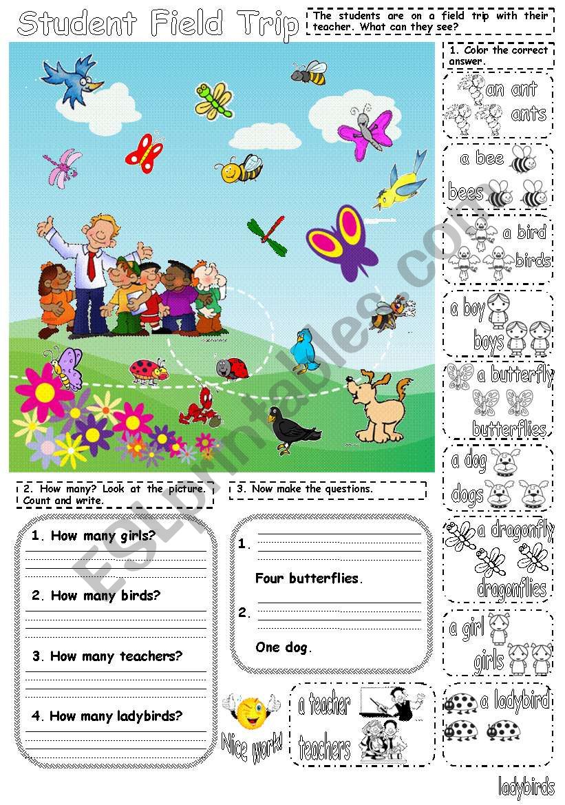 How many...? worksheet