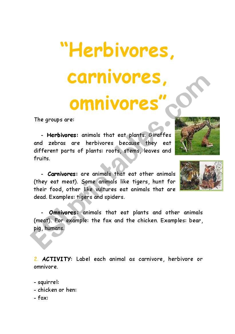 Animals: Herbibores, carnivores, omnivores 