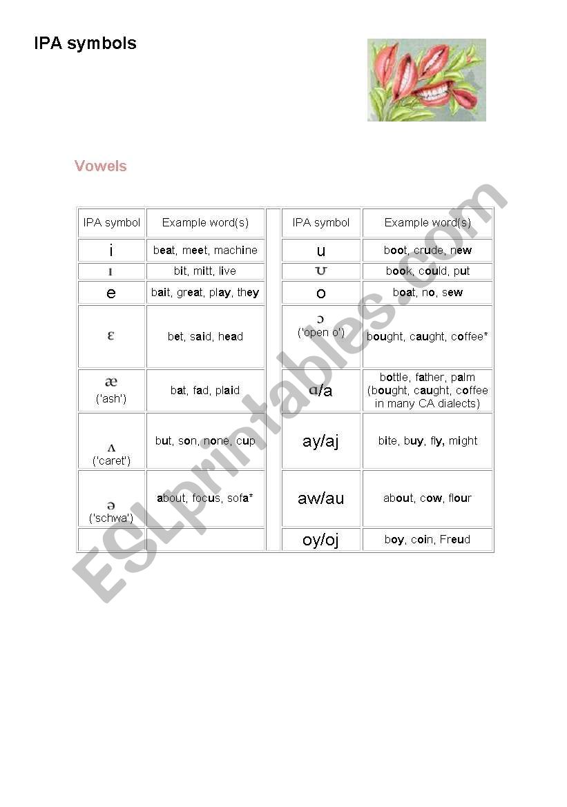 Vowels and Consonants IPA symbols (2pages) 