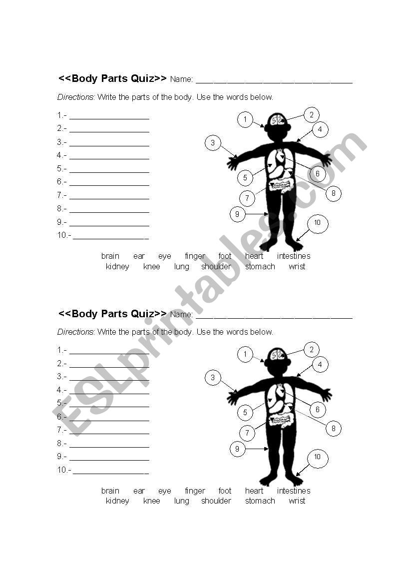 Body Parts Quiz worksheet