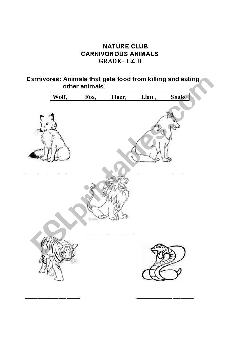 Carnivores Animals worksheet