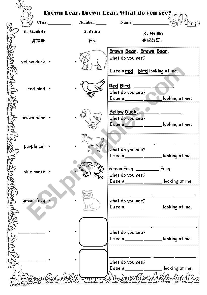 Color worksseht brown bear worksheet