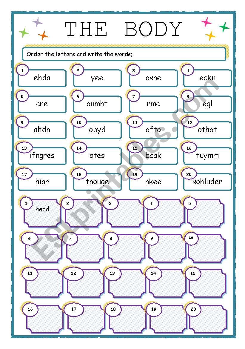 the body worksheet