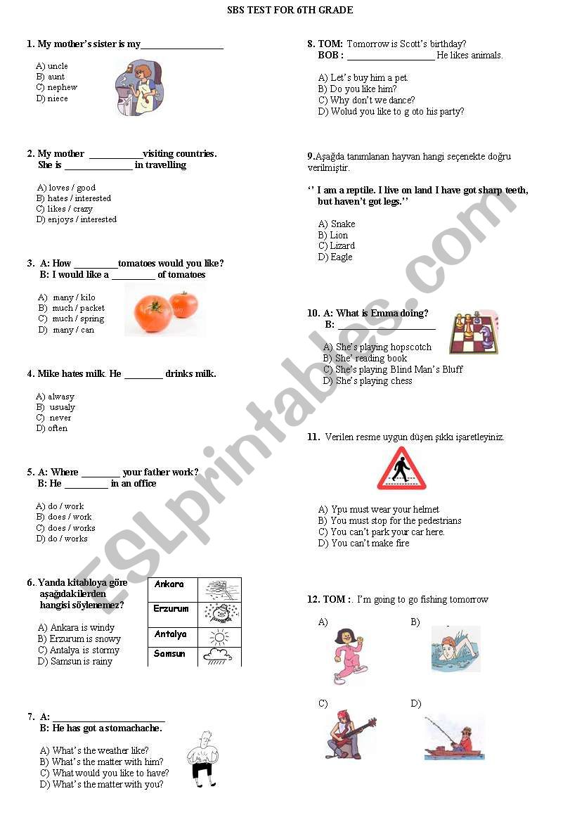 test for 6th grade-two pages worksheet