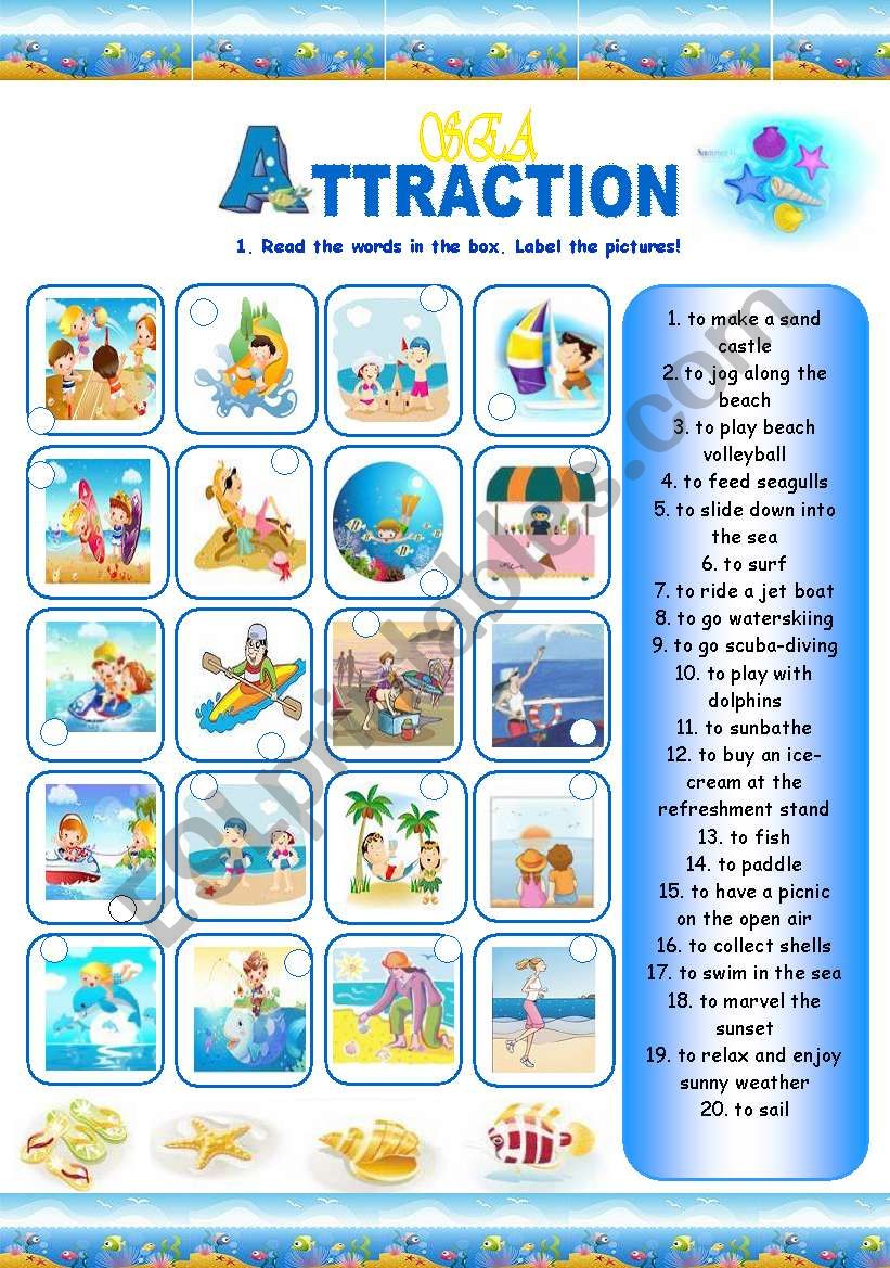 Sea Attraction (3 pages) worksheet