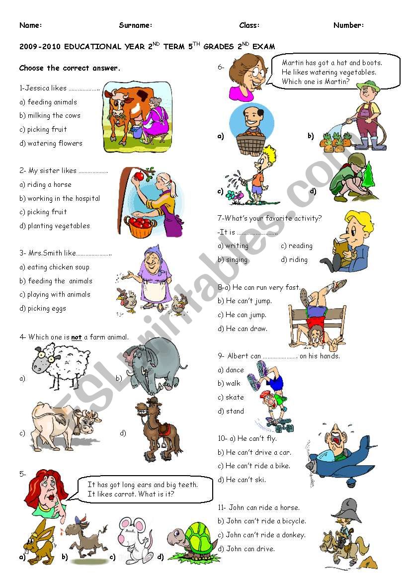 exam for 5th grades worksheet