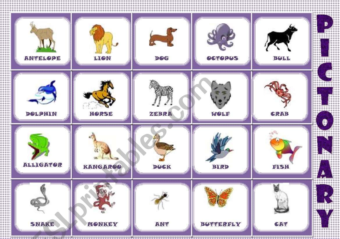 Animals worksheet