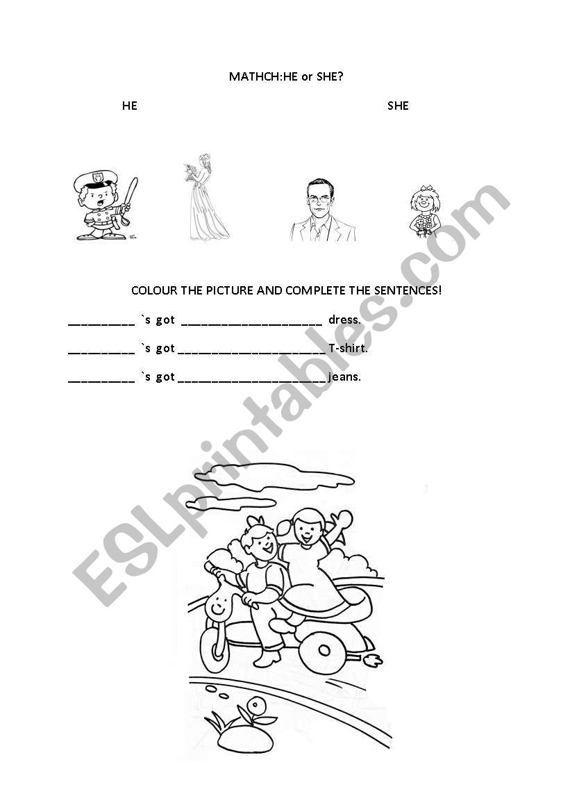 he or she worksheet