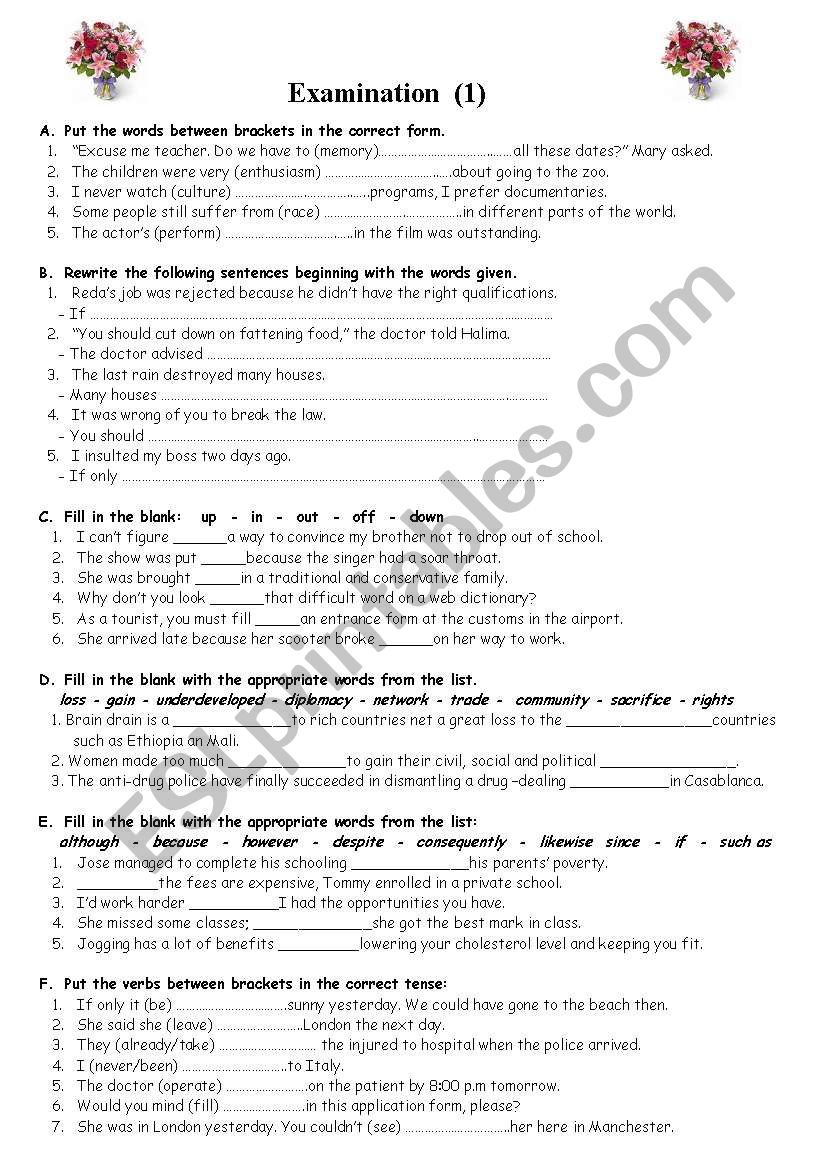 EXAMINATION (1) worksheet