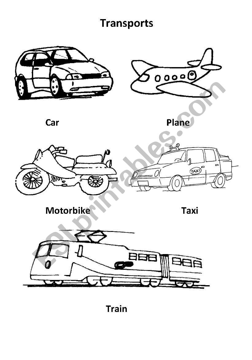 Transports worksheet