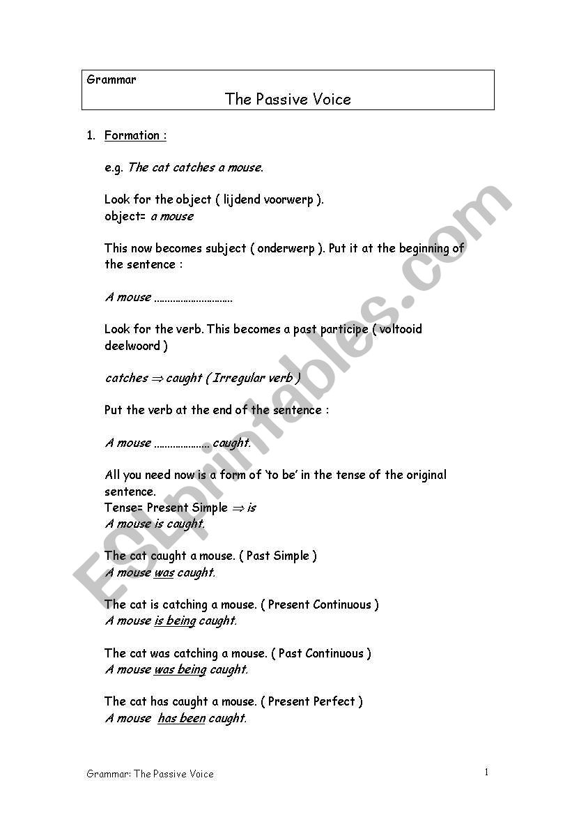 The passive voice worksheet