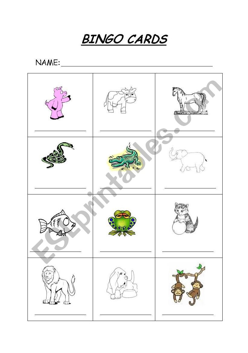 Bingo Cards worksheet