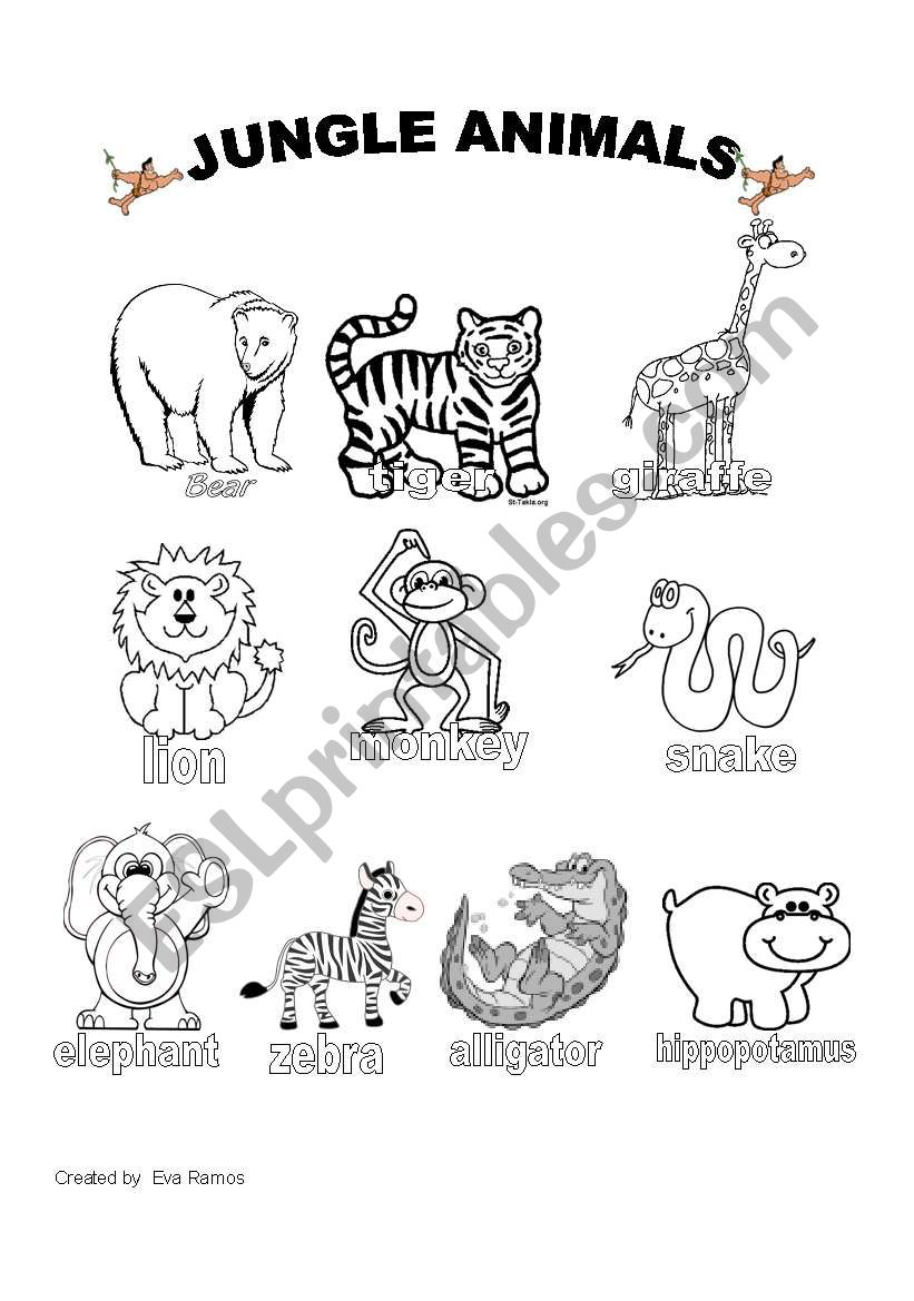 Jungle Animals Worksheet #1 worksheet