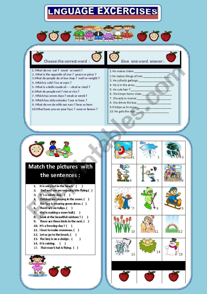 Vocabulary worksheet