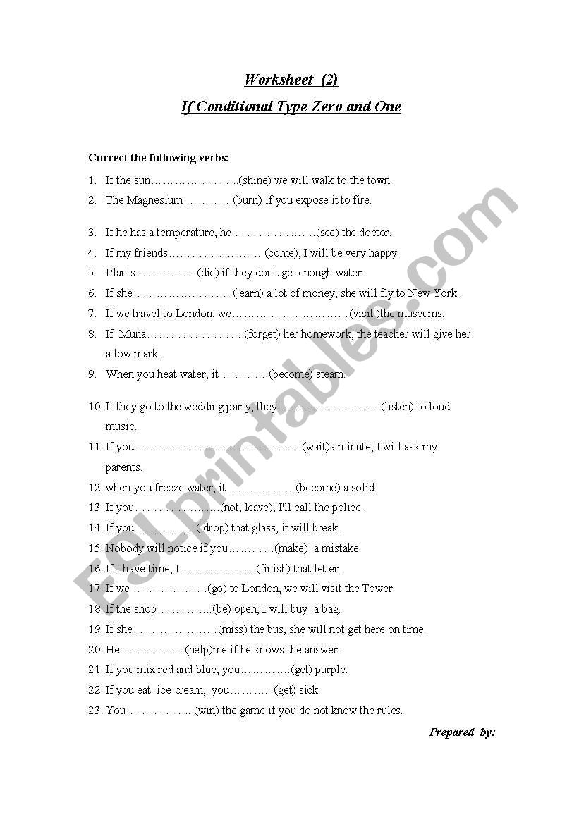 if conditional type 0 and 1 worksheet