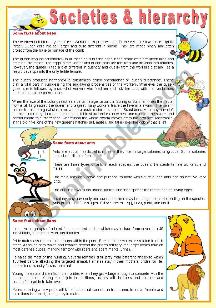 Societies & hierarchy (reading, compreehension, writing, conversation, debate + tons of related tasks) ((3 pages)) ***fully editable