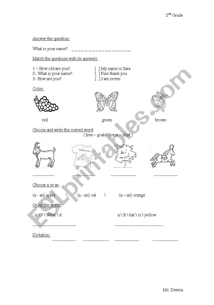 quiz worksheet