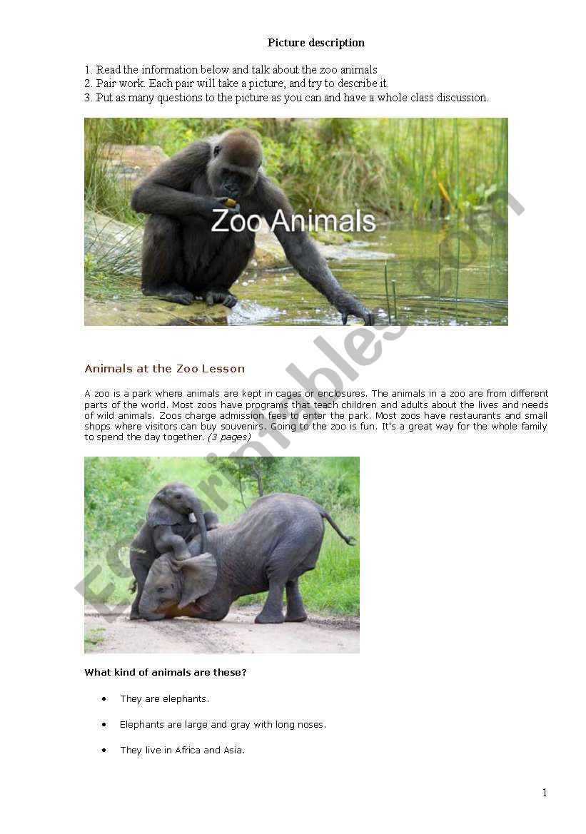 Animal Vocabulary worksheet