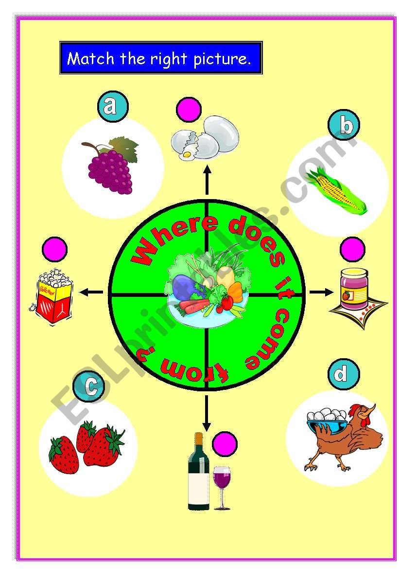 Where does it come from ? worksheet