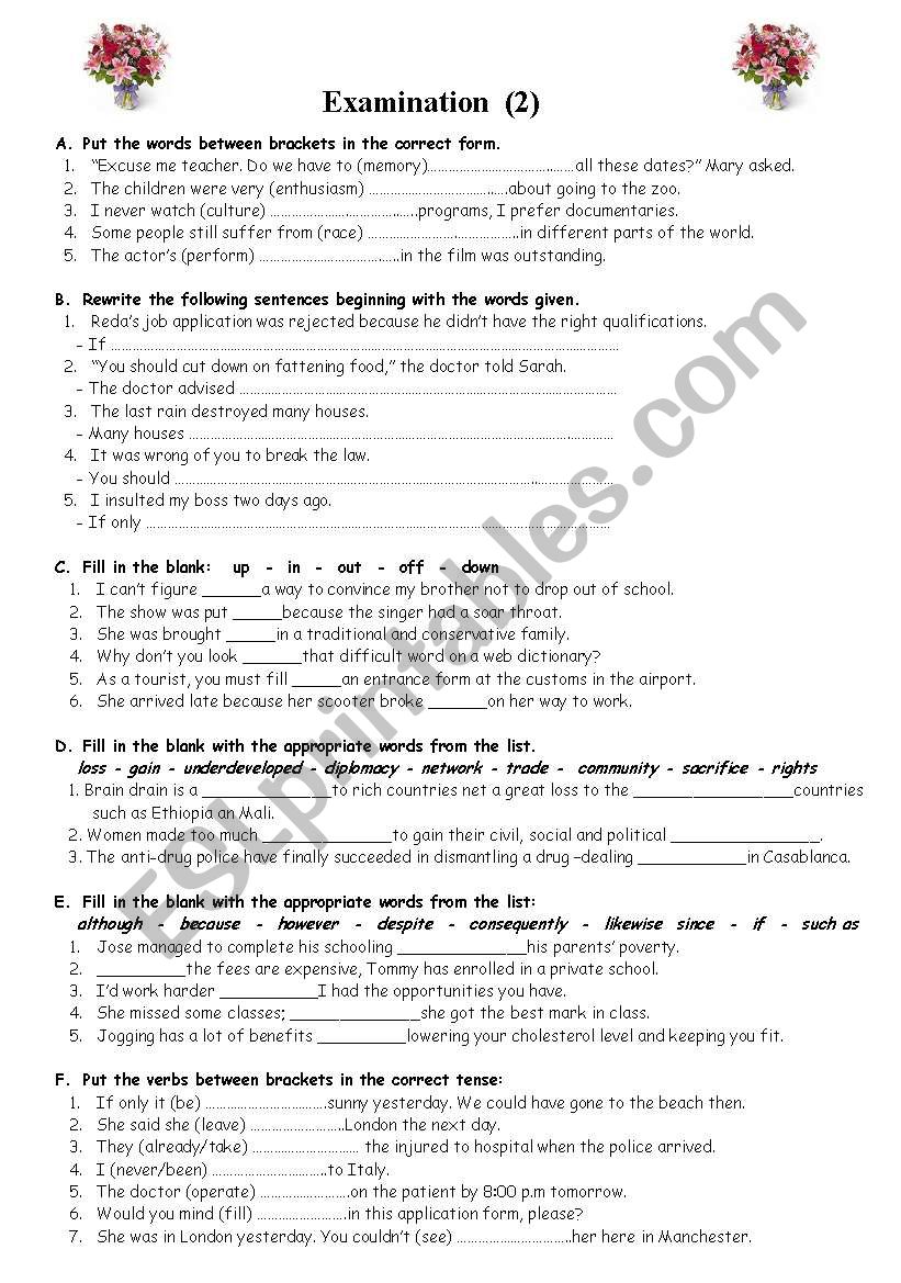 EXAMINATION (2) worksheet