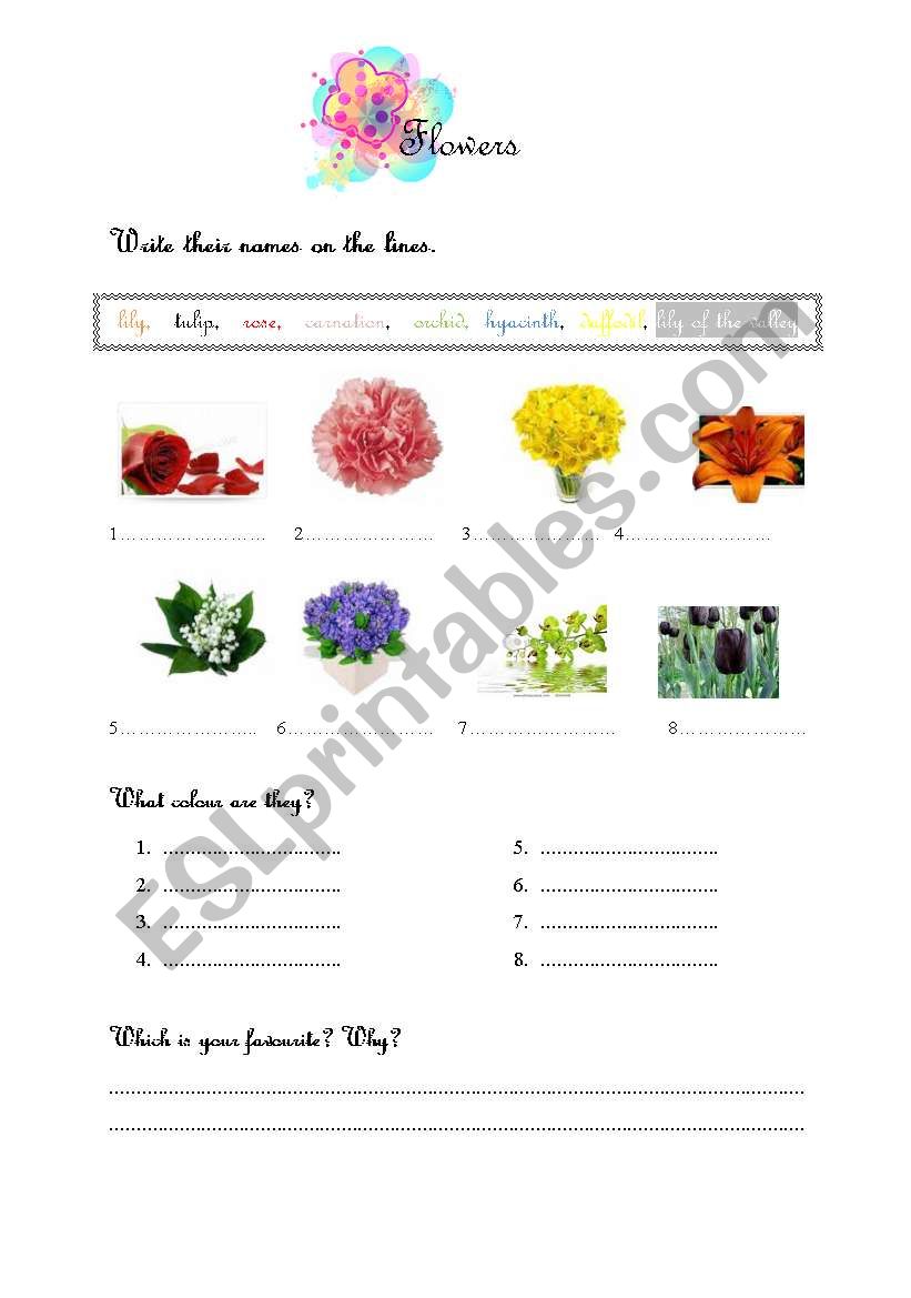 flowers  worksheet