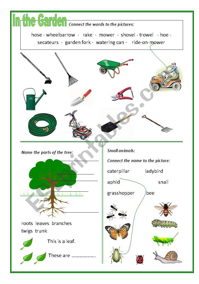 In The Garden Esl Worksheet By Apodo