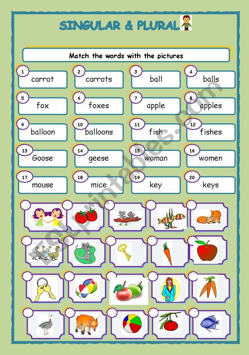 Vocabulary worksheet