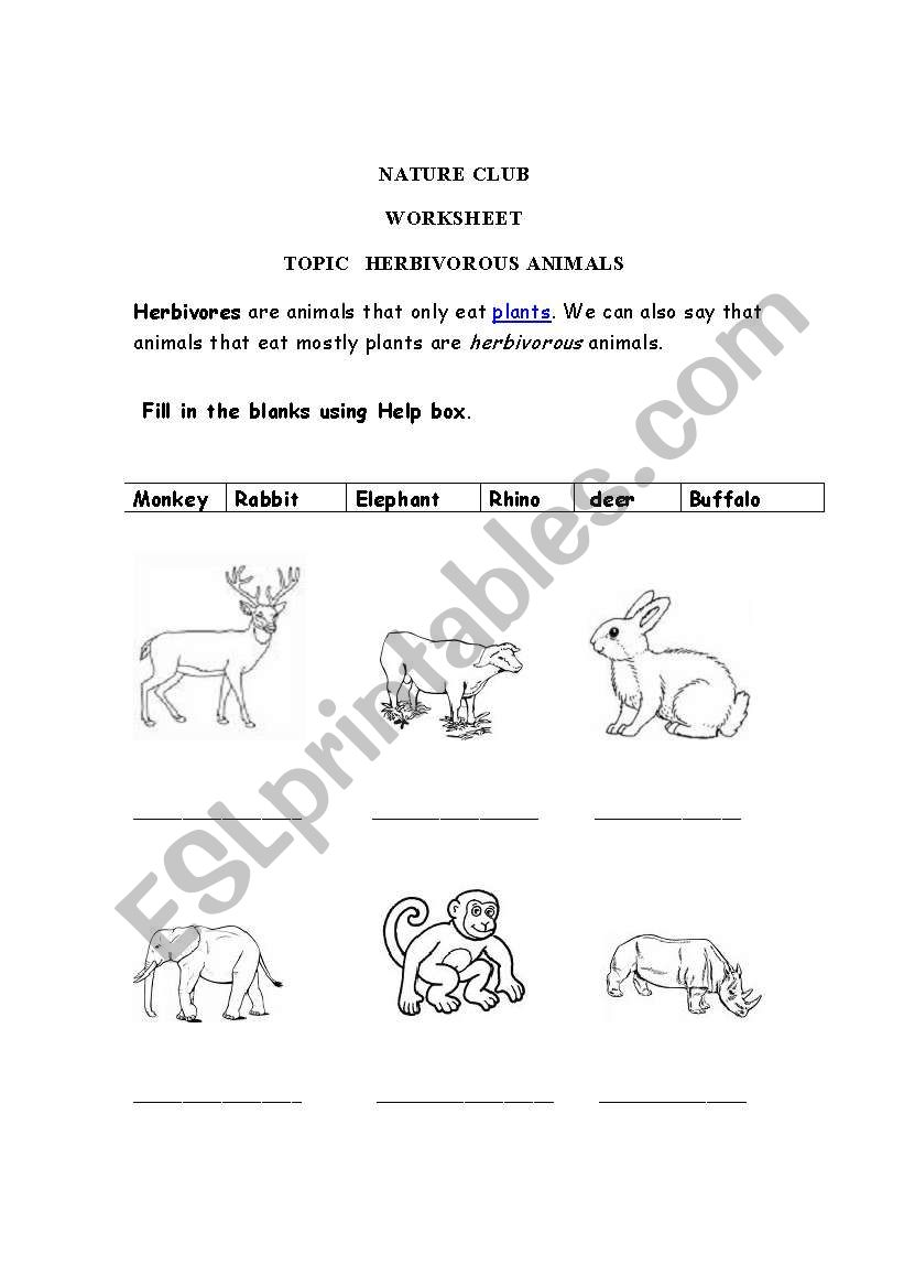 English worksheets: Herbivores animals
