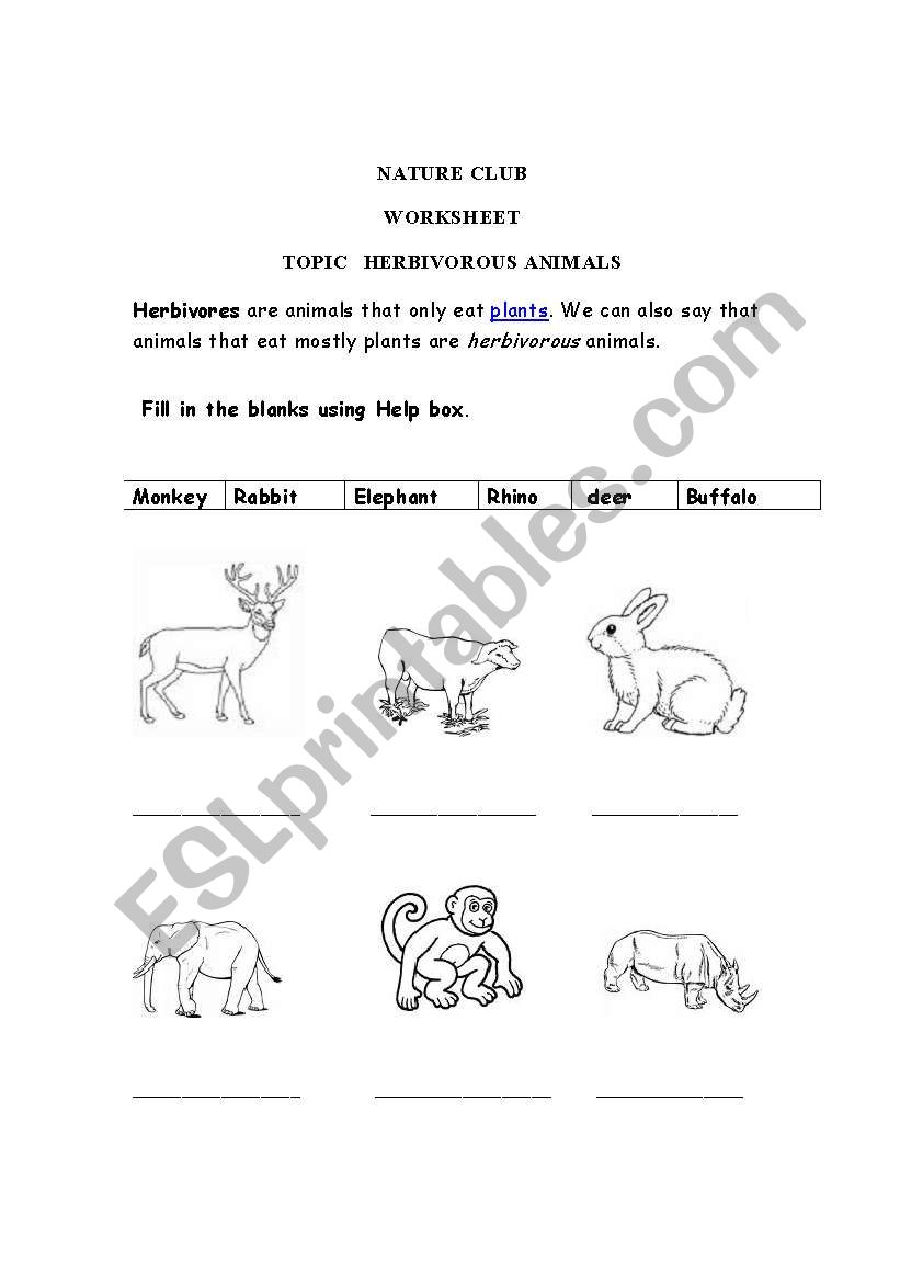 English worksheets: Herbivores animals English worksheets: Herbivores animals