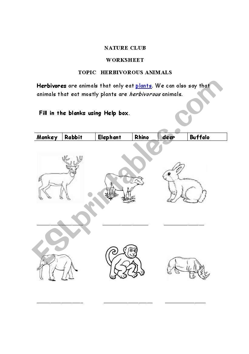 Herbivores animals worksheet