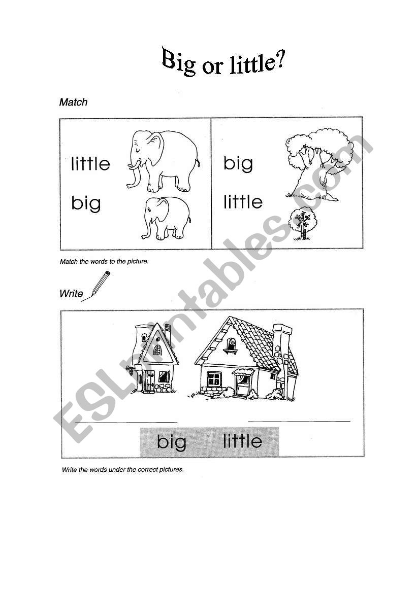 Big or little? worksheet