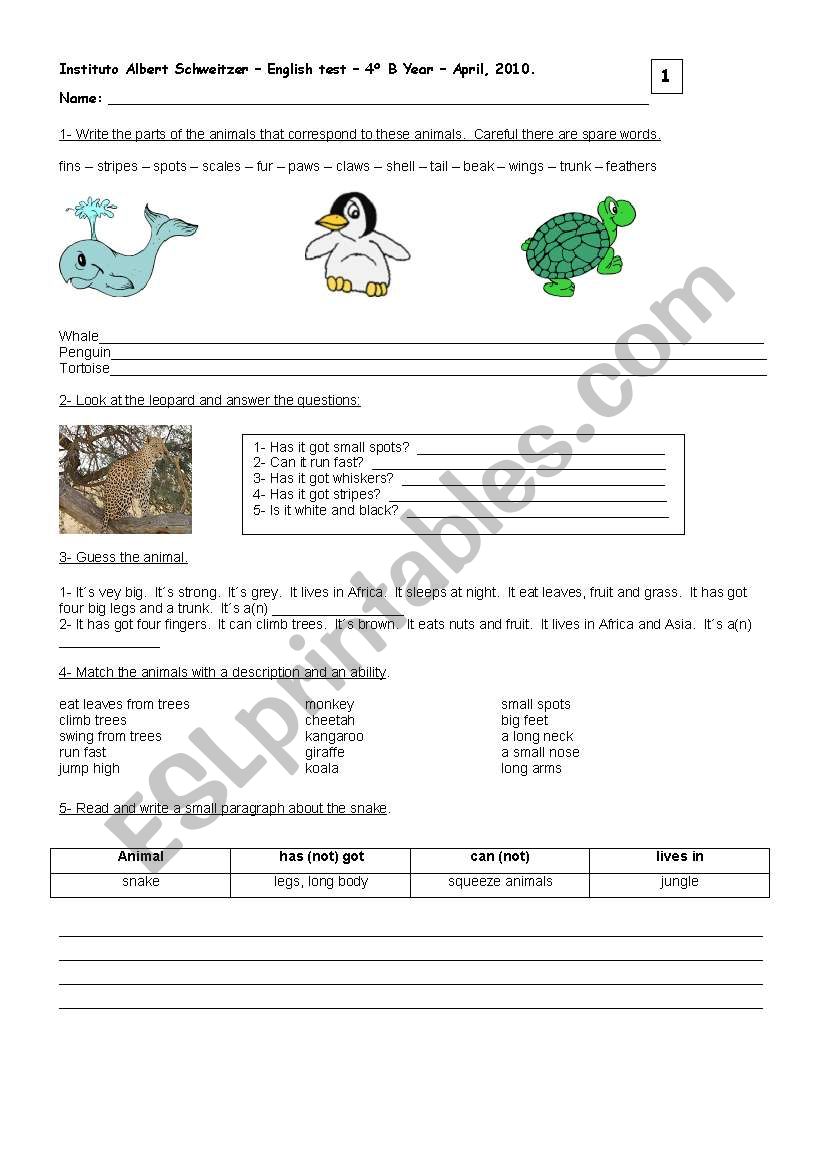 Tests Animals 1 worksheet