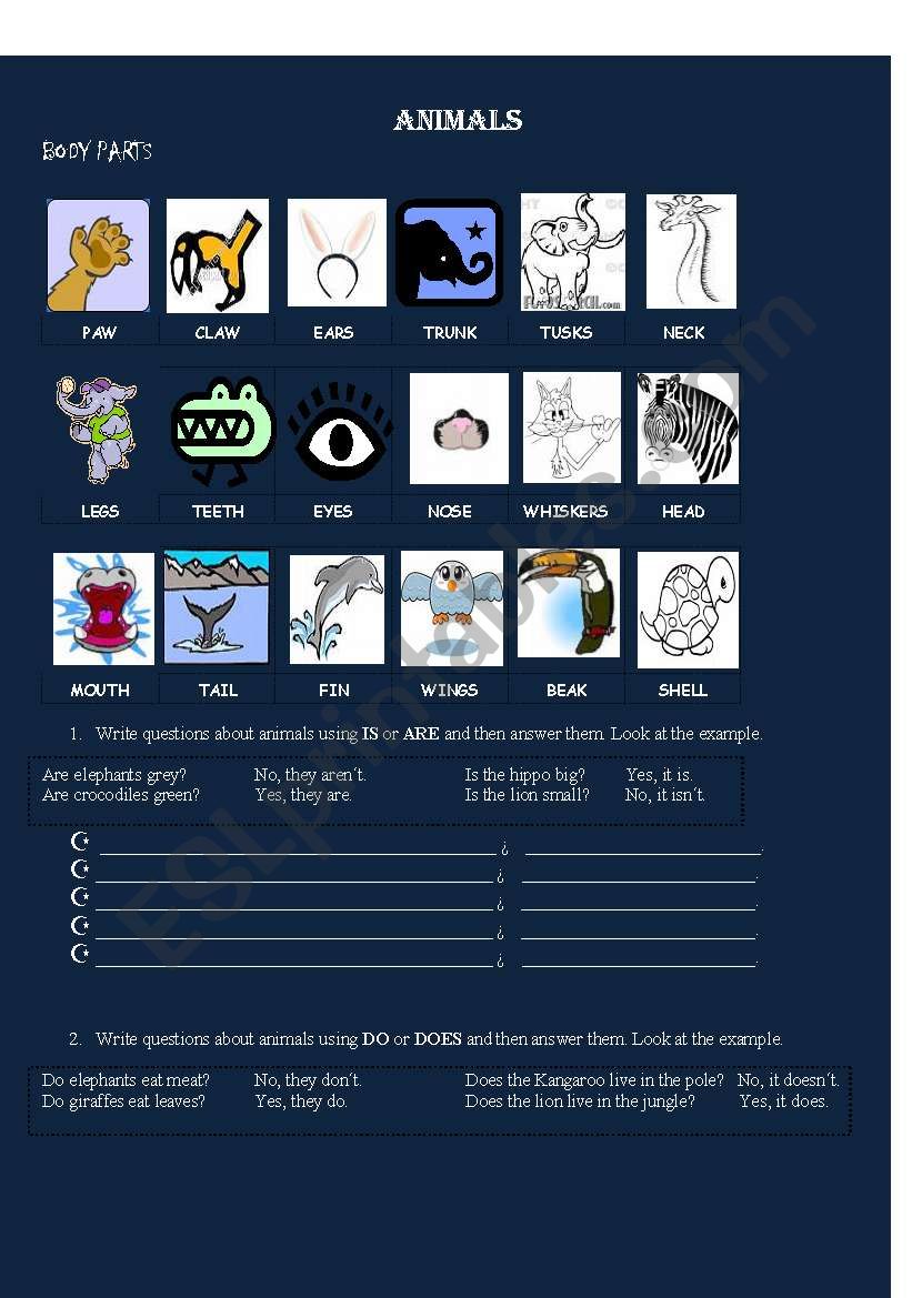 Animals . Aimals Description worksheet