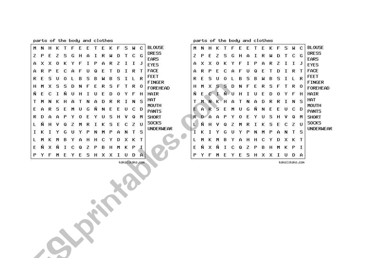 parts of the body and clothes worksheet