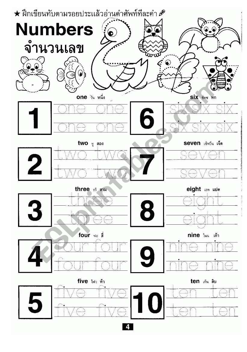 Numbers worksheet