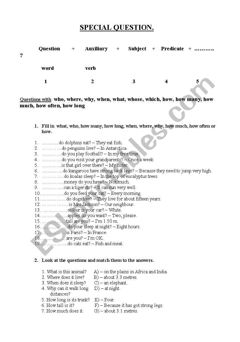Special Questions worksheet