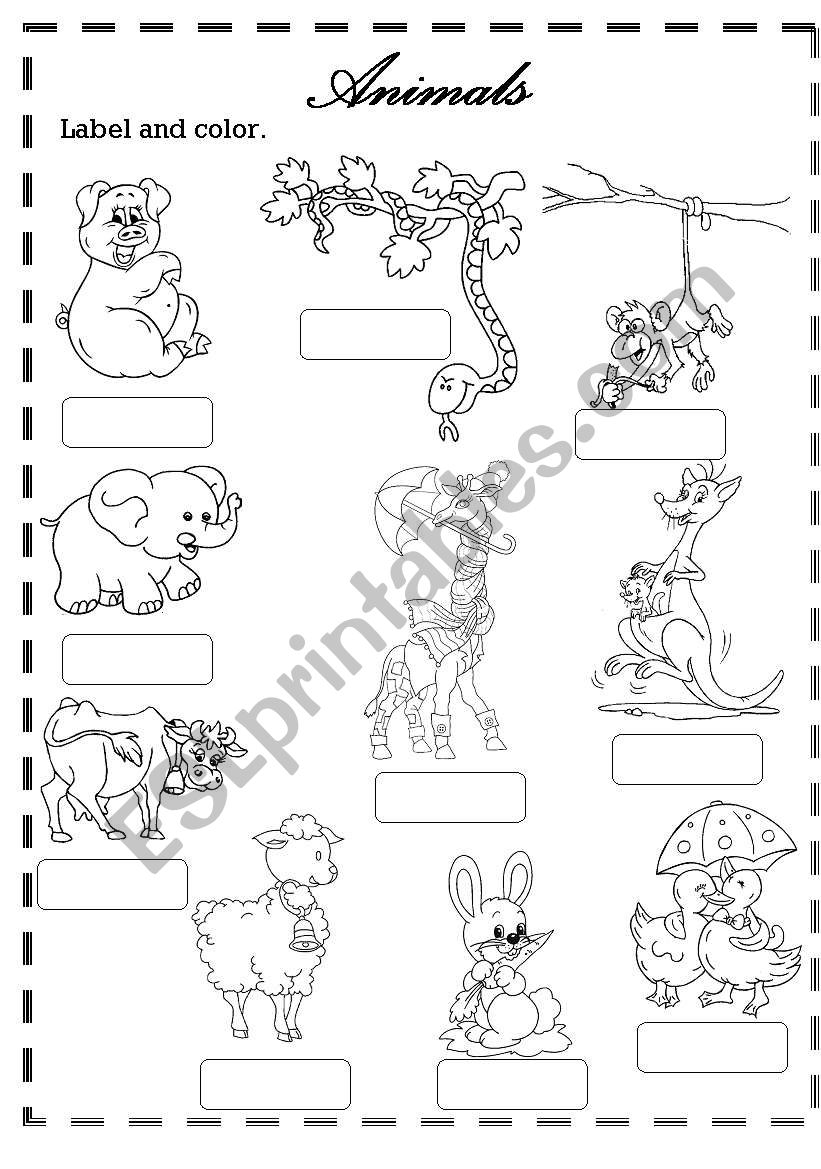 animals worksheet