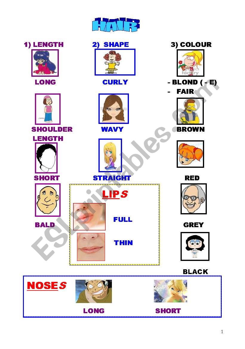 A PICTIONARY ABOUT FACES AND HAIR DESCRIPTIONS A PICTIONARY ABOUT FACES AND HAIR DESCRIPTIONS