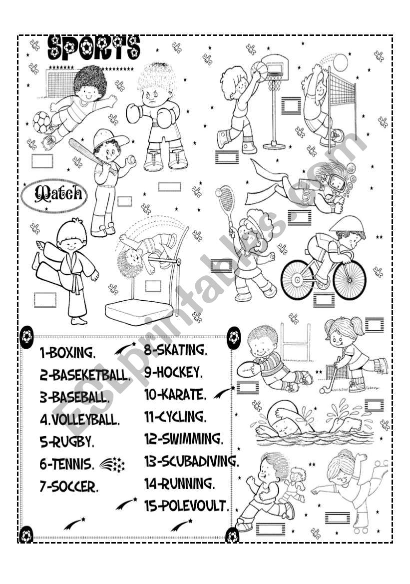 sports worksheet